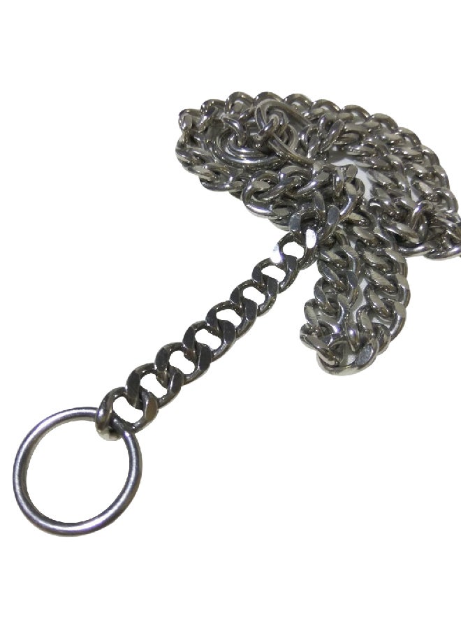 Adjustable Chain Dog Collar Silver 15x15x1cm - Image 1