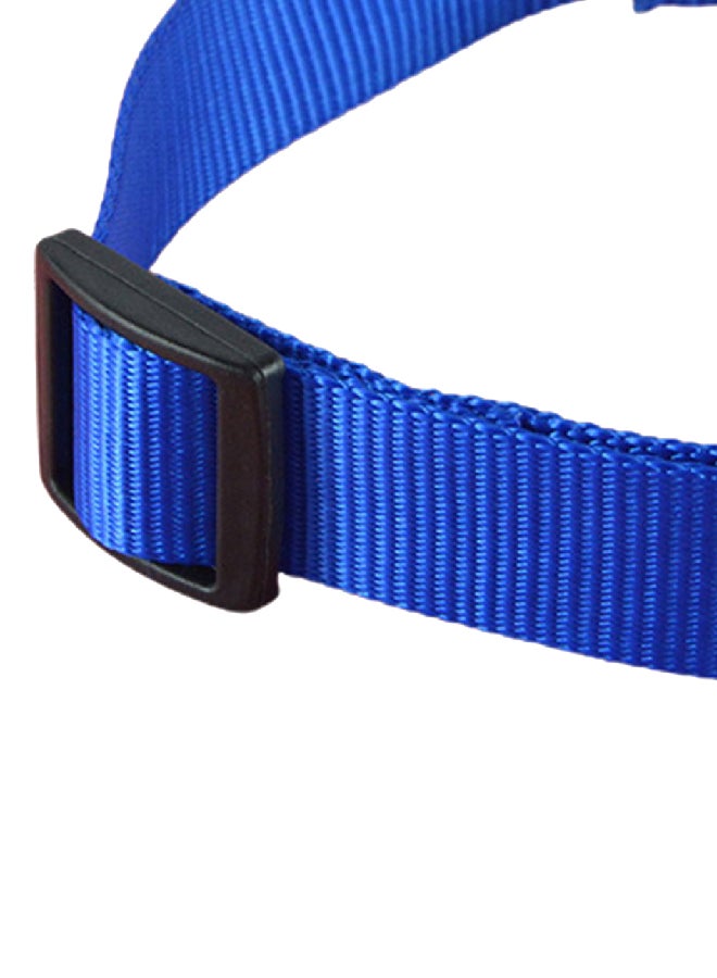 Plain Nylon Dog Collar Blue 12x3x1.5cm - Image 1