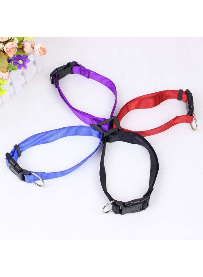 Plain Nylon Dog Collar Blue 12x3x1.5cm - Image 2