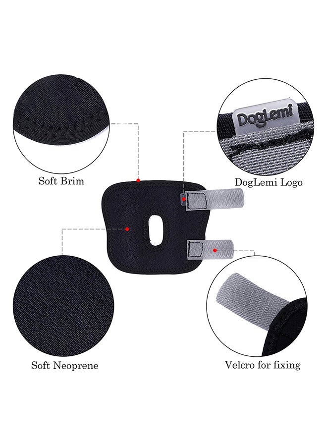 Dog Brace Leg Wrap Black 11x21x1.5cm - Image 3