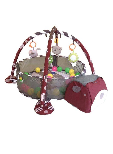 Multifunctional Ball Pool Activity Gym