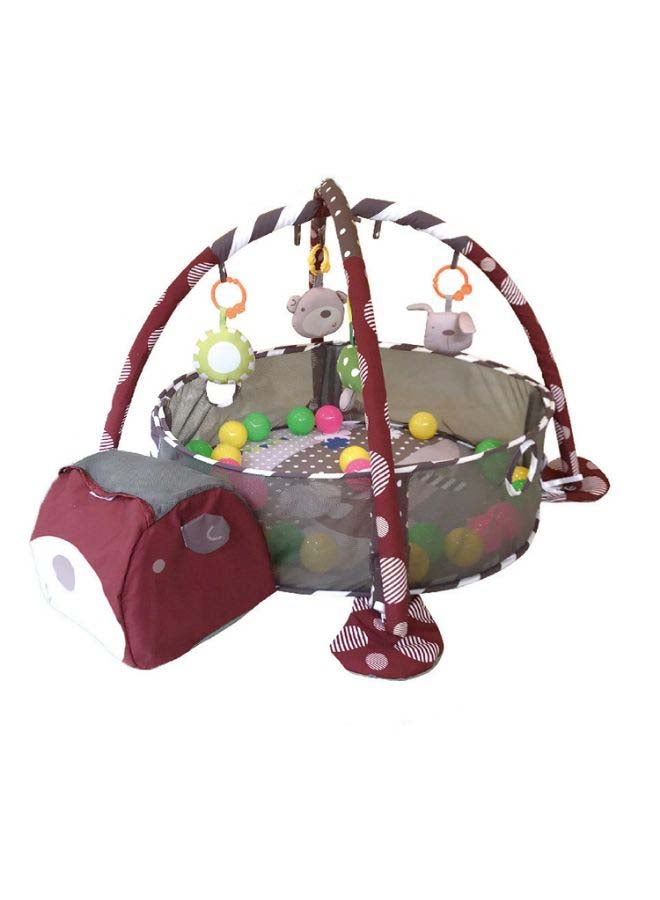 Multifunctional Ball Pool Activity Gym