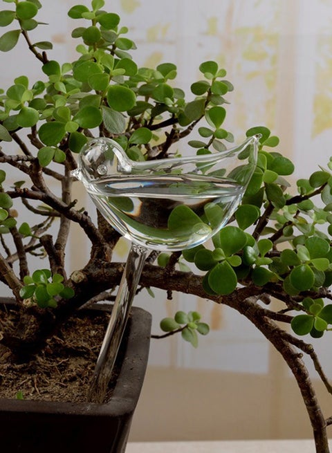 Waterer Bird Self Watering Bulb Hand Blown Clear Glass Plant Transparent 26.00 * 1.00 * 10.50cm