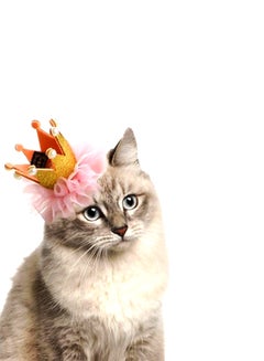 Znworld Crown Hair Clip For Dogs, Cats and Small Animals Multicolour 4grams 