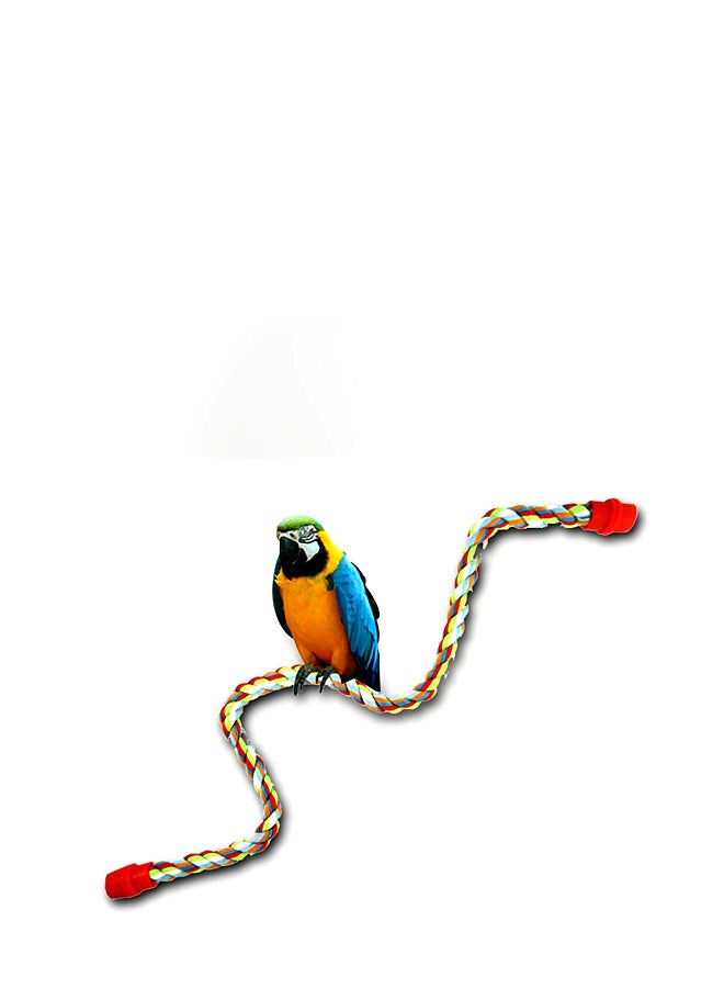 HENGZI Rope Bungee Bird Toy Multicolour 81.2cm