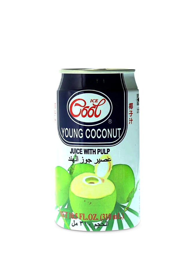 Ice Cool - Coconut Juice With Pulp 310ml - Image 1