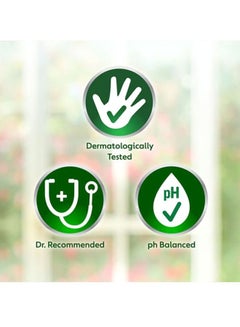 Dettol Pack Of 2 Skincare Anti-Bacterial Ph-Balanced Handwash Set 2x200ml  - Image 4