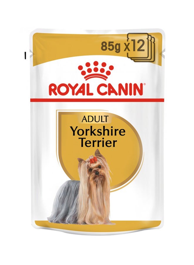 ROYAL CANIN Breed Health Nutrition Yorkshire Adult Wet Food Pouches 85g Pack Of 12 85grams  - Image 1