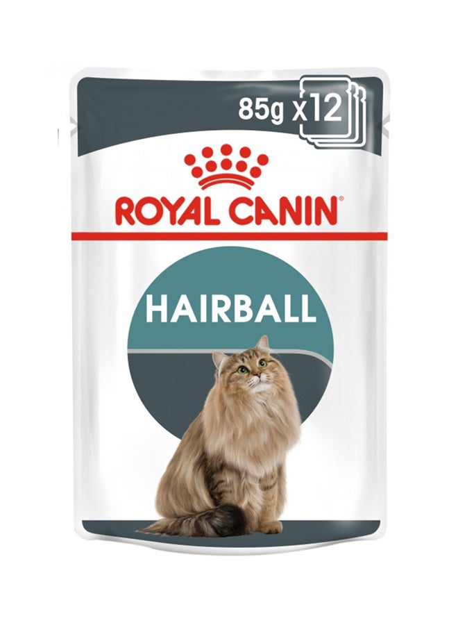 ROYAL CANIN Feline Care Nutrition Hairballgravy Wet Food Pouches 85g Pack Of 12  - Image 1
