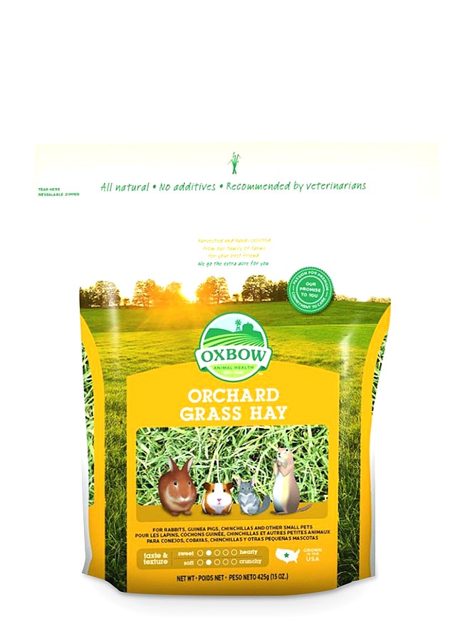 أعشاب الساتين للحيوانات الصغيرة أخضر