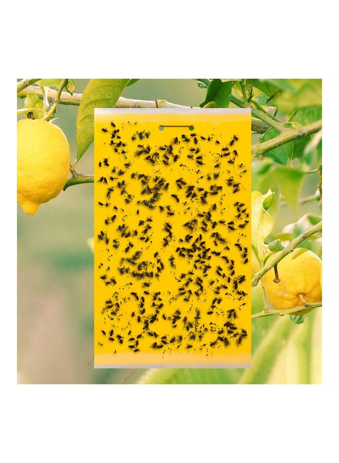 Generic 100-Piece Eco Sticky Traps Multicolour one size cm  - Image 2