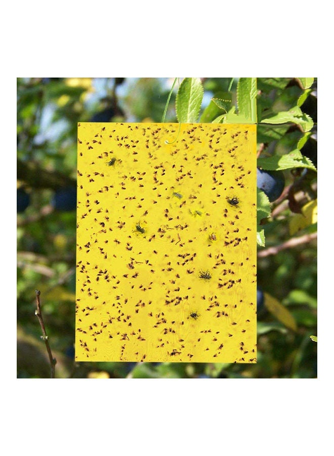 Generic 100-Piece Eco Sticky Traps Multicolour one size cm  - Image 5