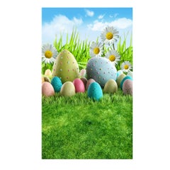 Generic Beautiful Themed Photography Background Multicolour  - Image 3