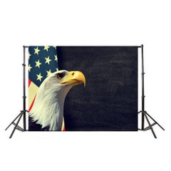 Generic Flag Brick Wall Photography Background Multicolour  - Image 1