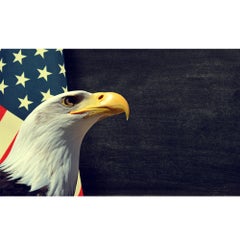 Generic Flag Brick Wall Photography Background Multicolour  - Image 2