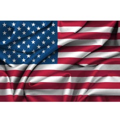 Generic Flag Brick Wall Photography Background Multicolour  - Image 1