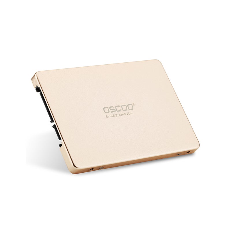 OSCOO SATA III Disk for PC Laptop Desktop Gold  - Image 1