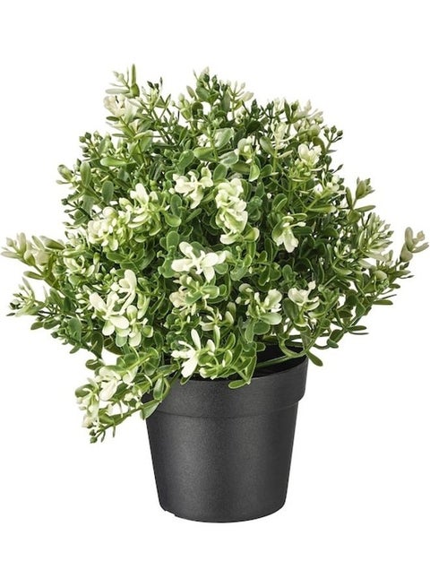 Artificial Potted Plant Multicolour 22cm