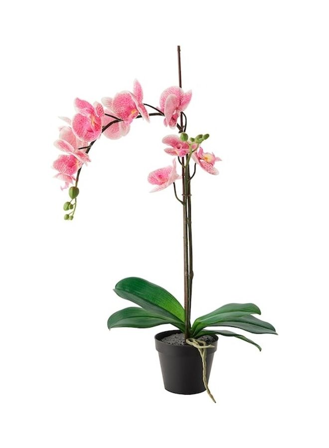 FEJKA Artificial Potted Plant Multicolour 65cm - Image 1