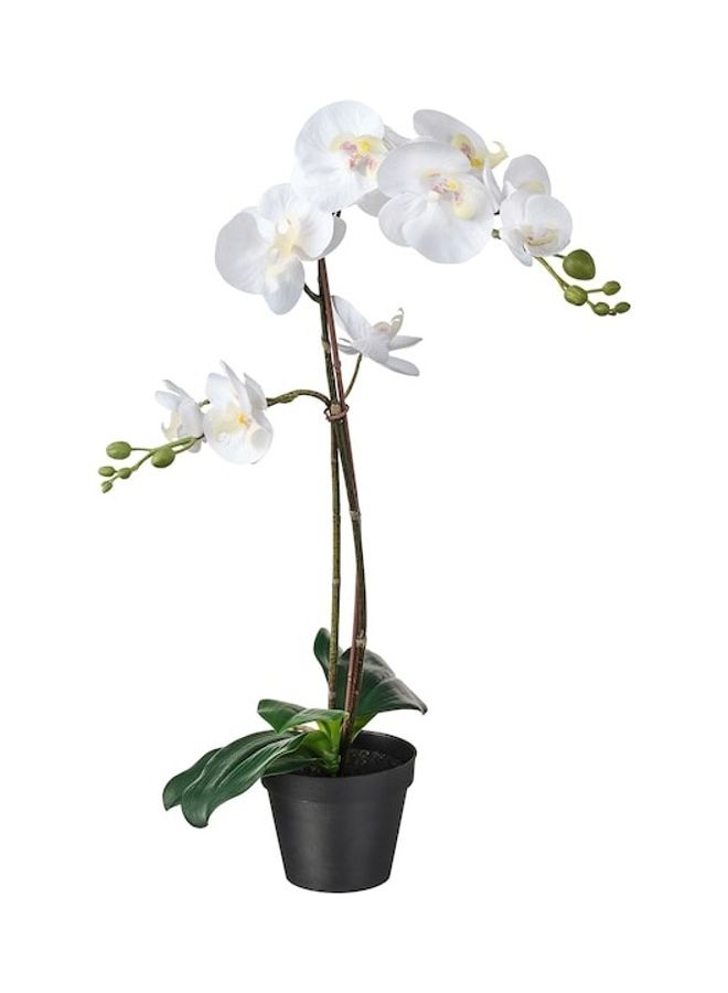 FEJKA Artificial Potted Plant Multicolour 65cm - Image 1