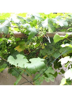 Generic Anti Bird Tree Net Green 2x10meter  - Image 5