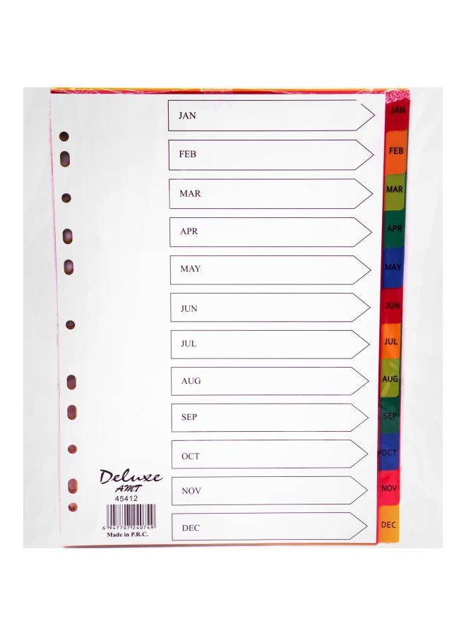 10-Piece Jan-Dec A4 Plastic Divider Multicolour