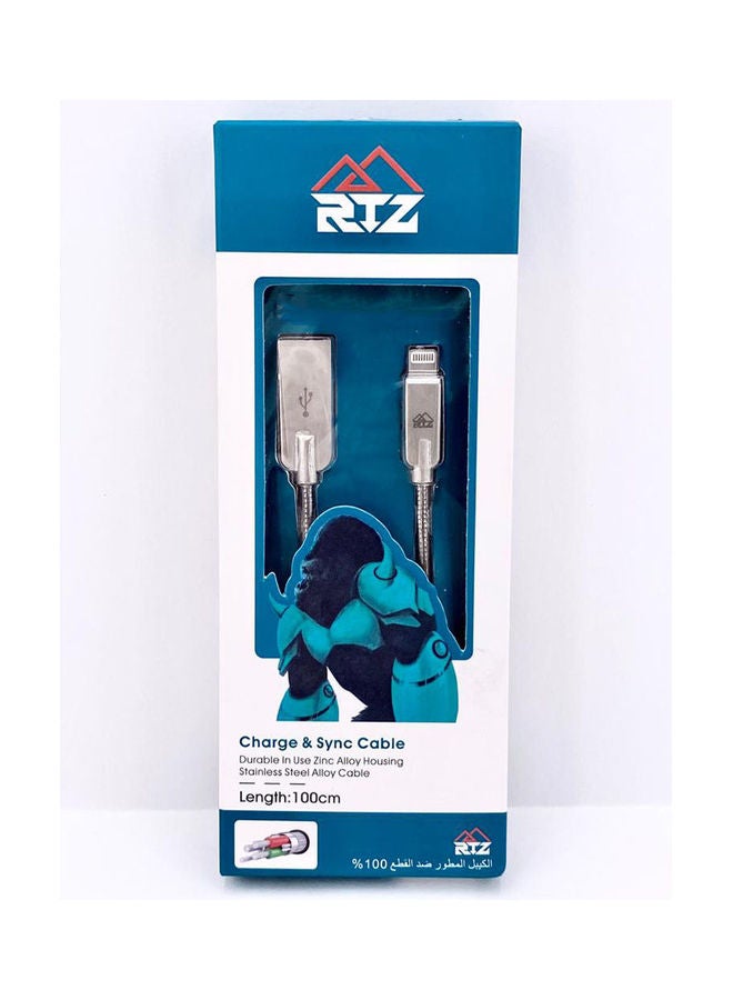 Cable for iphone That Supports Data Transfer Sliver  - Image 2