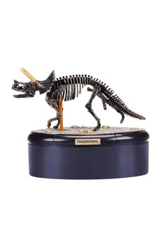 3D Dinosaur Skeleton Fossil (Triceratops)