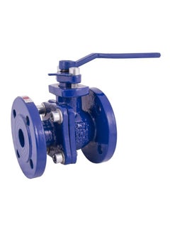 Cast Iron Ball Valve Blue/Silver 2.5inch
