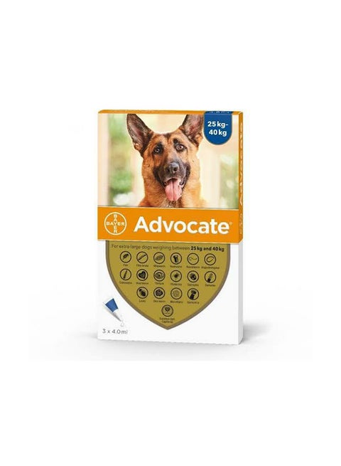 Ticks And Flea Ampules For Dogs Multicolor 4ml