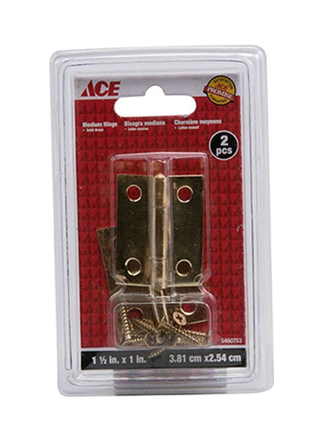 ACE Medium Hinge Gold 