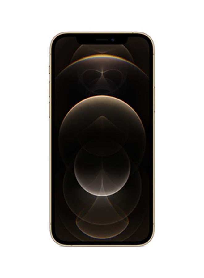 Apple iPhone 12 Pro With Facetime Dual Sim 512GB Gold 5G - HK Specs - Image 2