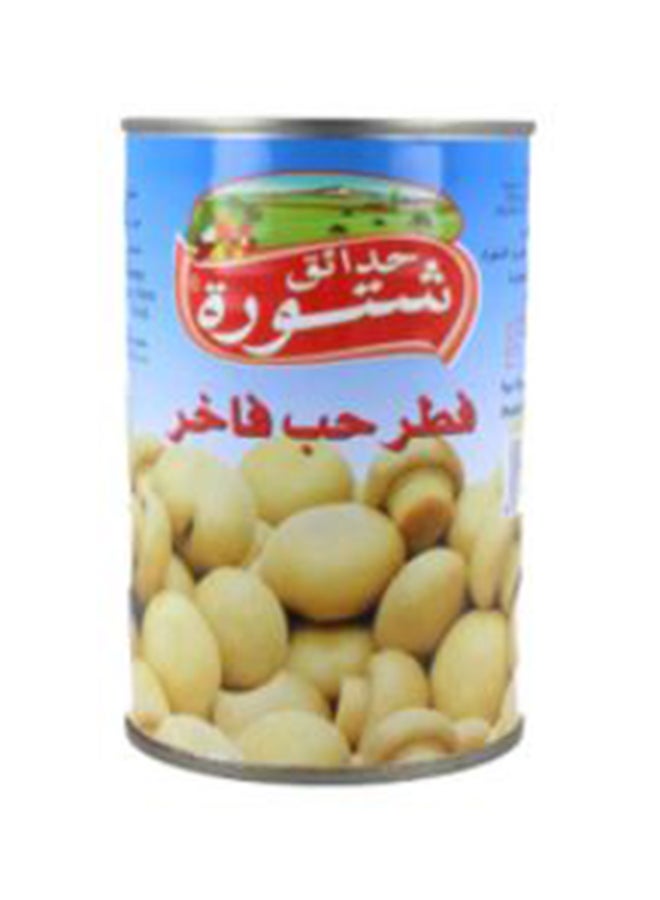 Chtaura Whole Mashroom 425grams 