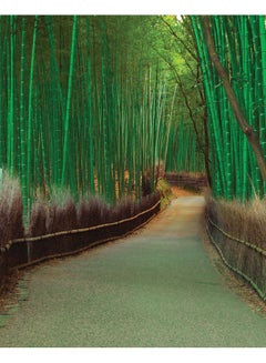 Zoot Bamboo Path Wall Art Framed Canvas Painting Multicolour 50x40cm 