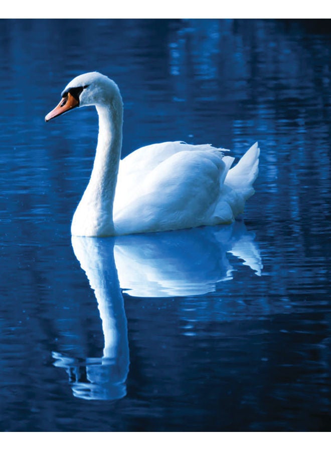 زوت لوحة فنية جدارية من قماش الكانفاس مطبوع عليها بجعة في الماء الأزرق متعدد الألوان 50x40سم