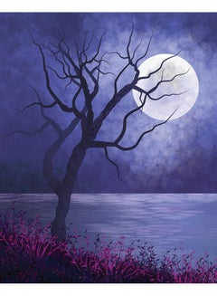 Zoot Landscape Night Wall Art Framed Canvas Painting Multicolour 50x40cm 