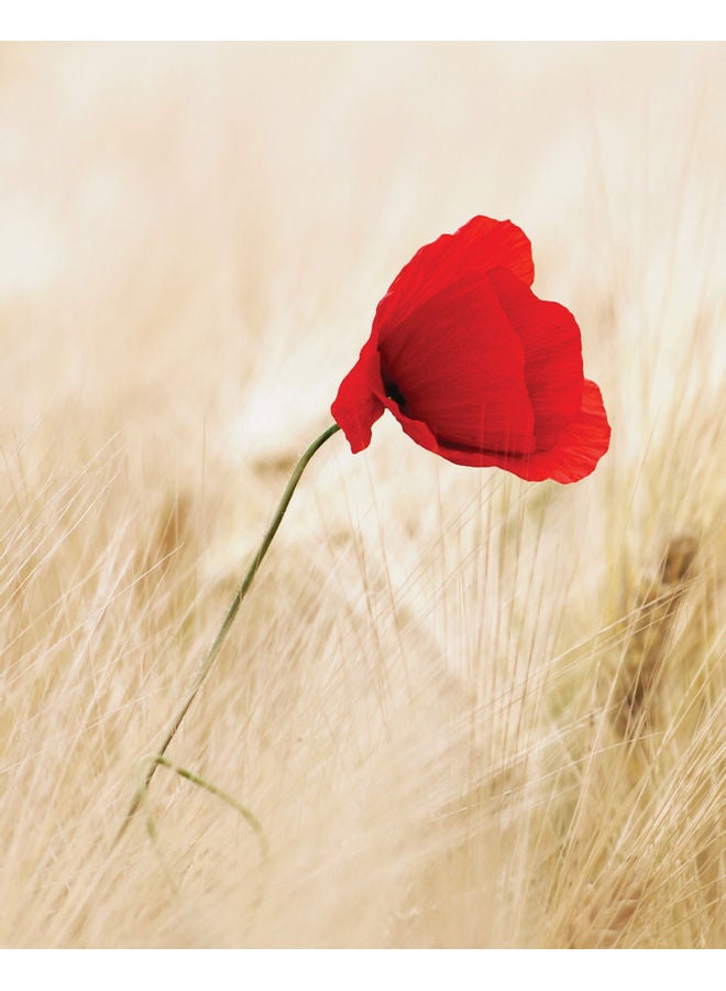 Zoot Flower Wall Art Framed Canvas Painting Multicolour 50x40cm