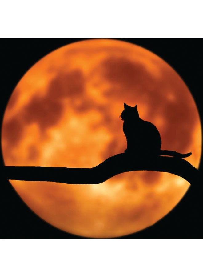 Zoot Shadow Cat Wall Art Framed Canvas Painting Multicolour 50x40cm