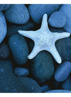 Zoot Stars Wall Art Framed Canvas Painting Multicolour 50x40cm 
