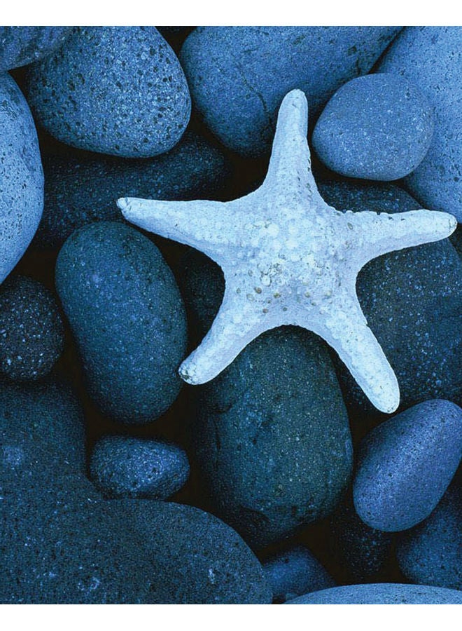 زوت لوحة فنية جدارية من قماش الكانفاس مطبوع عليها نجوم متعدد الألوان 50x40سم