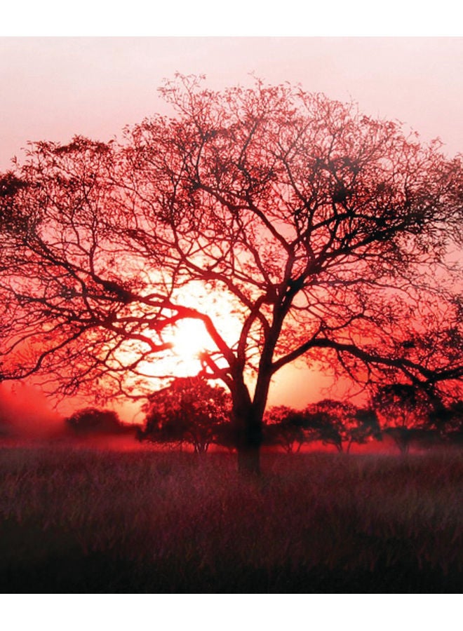 Zoot Sunset Wall Art Framed Canvas Painting Multicolour 50x40cm