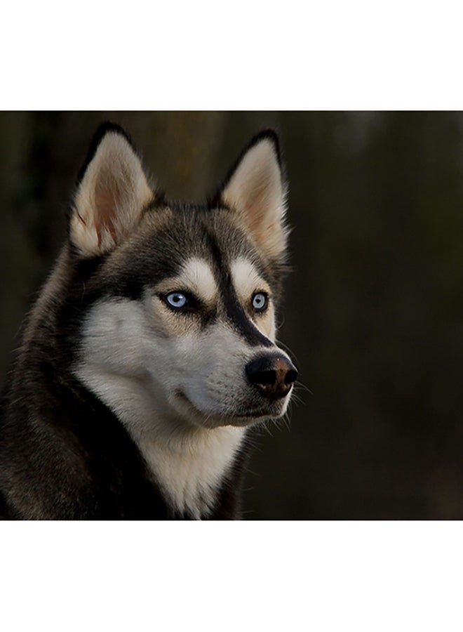 فاست برينت ملصق جداري ذاتي اللصق بتصميم كلب هاسكي متعدد الألوان 140x105سم