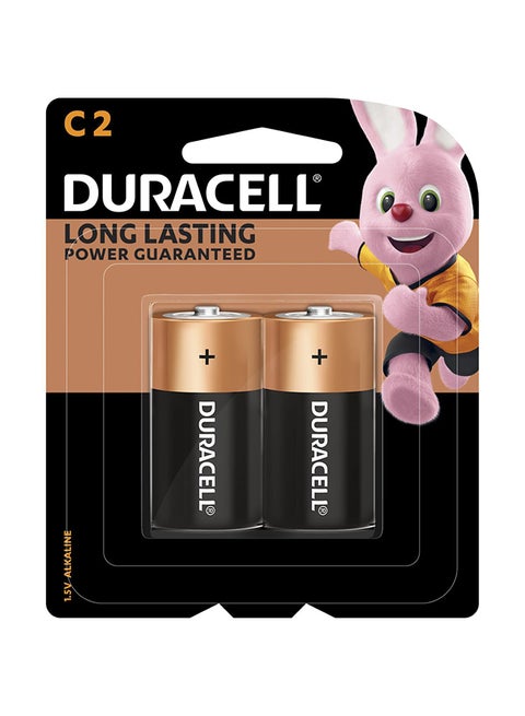 Type C Batteries, pack of 2 Multicolour