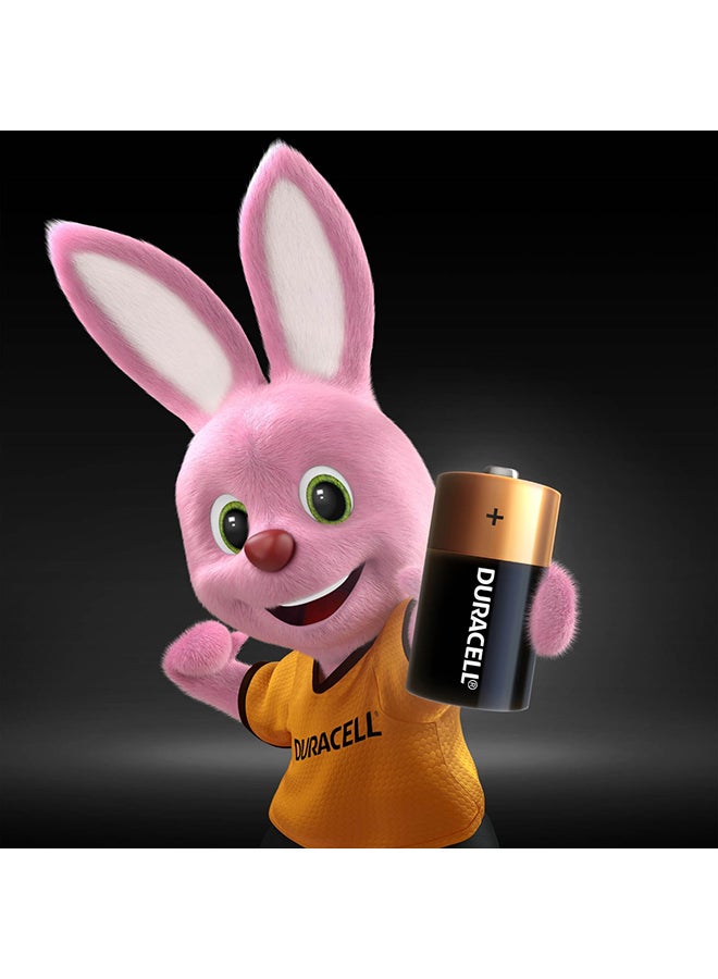 Duracell - Type C Batteries, pack of 2 Multicolour - Image 1
