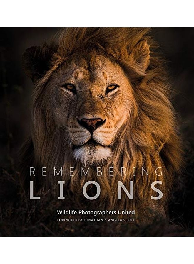Remembering Lions Hardcover English by Margot Raggett - 2020 