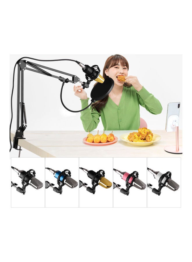 Professional Condenser Microphone Kit With External Sound Card Multicolor - Image 2