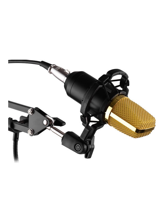 Professional Condenser Microphone Kit With Mic Multicolor - Image 2
