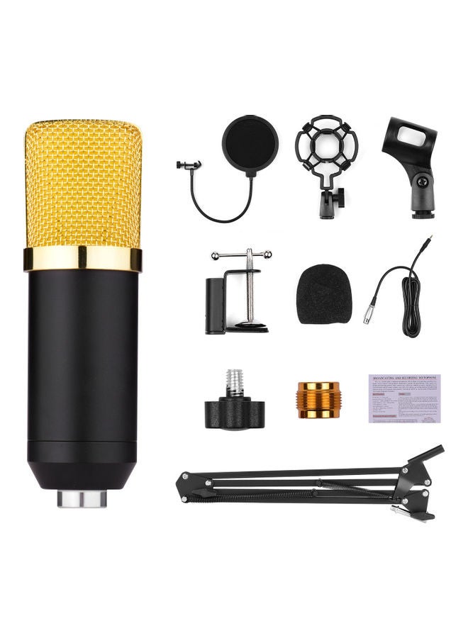 Professional Condenser Microphone Kit With Mic Multicolor - Image 4