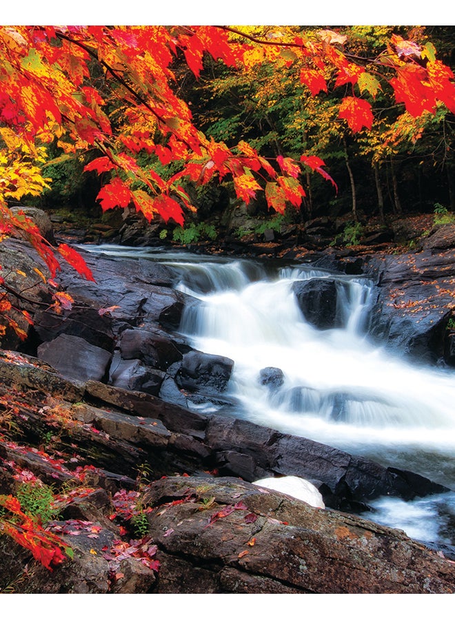 Zoot Nature Themed Canvas Frame Painting Multicolour 50x40cm