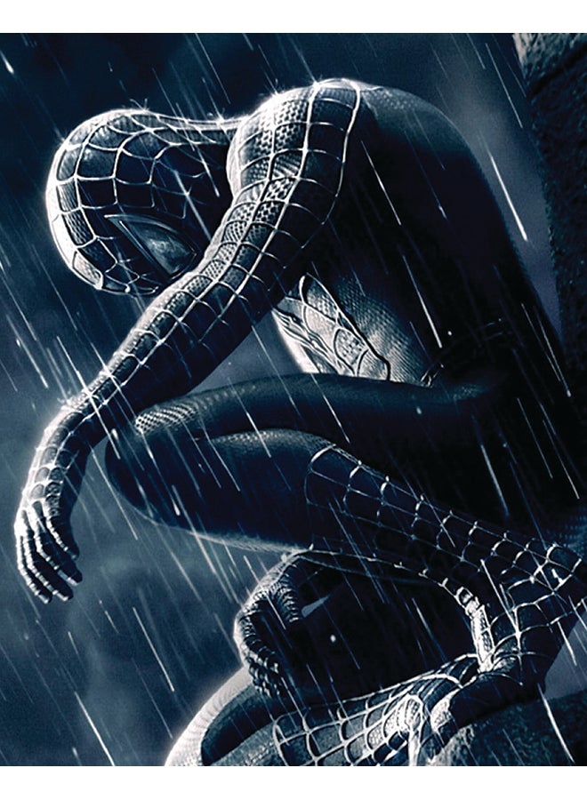 زوت لوحة من قماش الكانفاس مزودة بإطار ومزينة بنمط يمثل شخصية سبايدرمان أسود 50x40سم